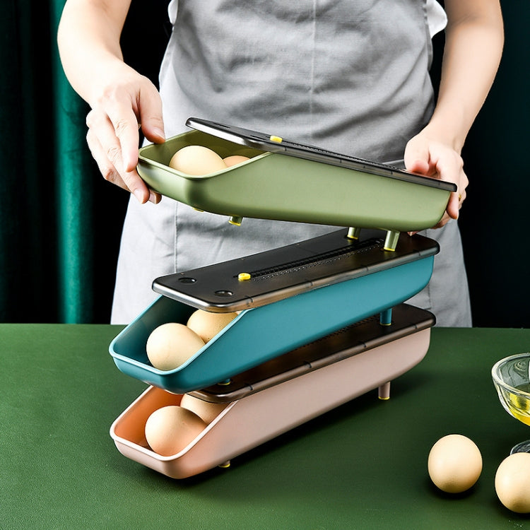 Automatically Fill The Egg Storage Box Refrigerator Fresh-Keeping Box