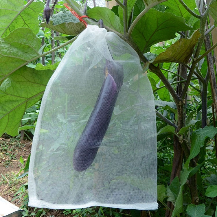 Fruit & Vegetable Insect-Proof And Bird-Proof Nylon Mesh Bag, Specification: 70x48cm
