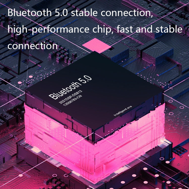 DS813 Live Wireless Bluetooth Microphone