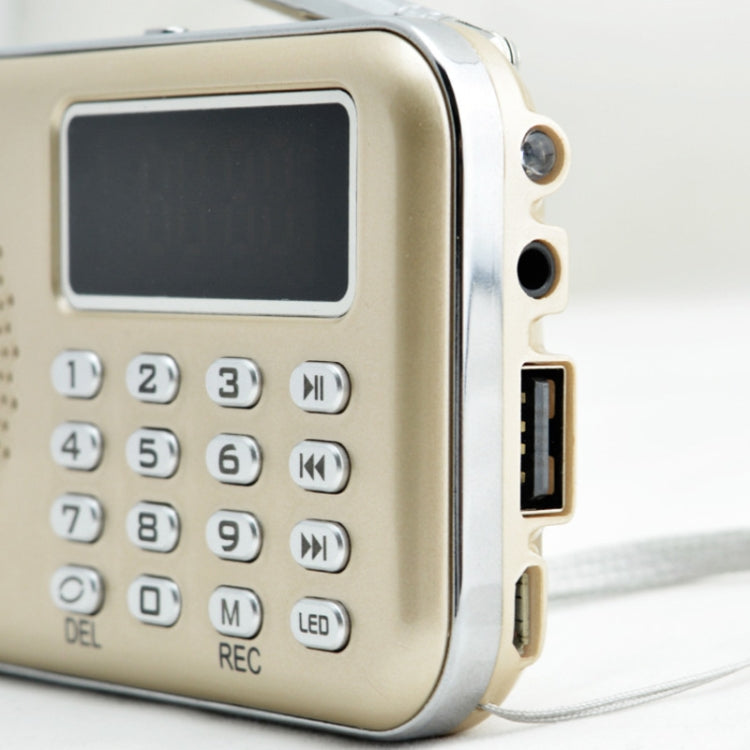 Y-619  FM/AM Mini Radio MP3 Rechargeable Music Player Support TF/SD Card with LED Display
