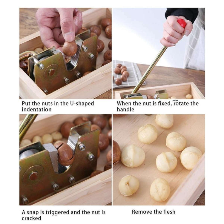 Nut Walnut Macadamia Opener Fruit Opener