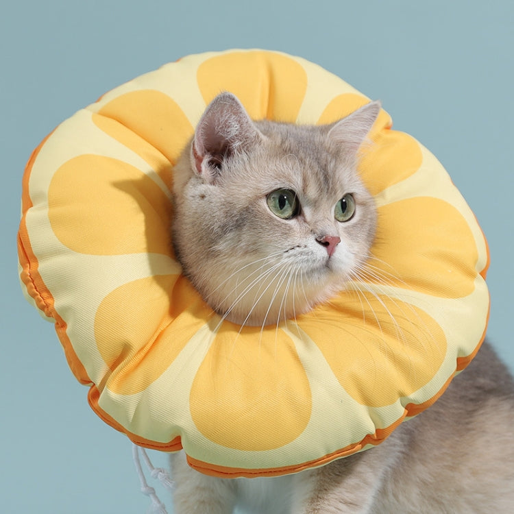 Cat Elizabeth Collar Kitten Anti-licking Collar Head Cover, Size: