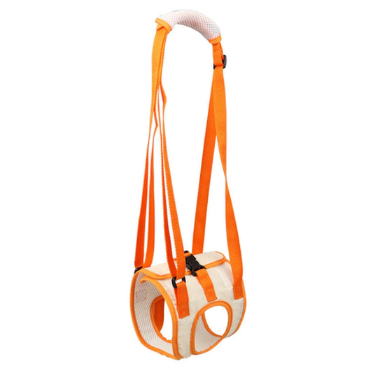 Pet Leash Assistive Belt For Postoperative Disabled Elderly Dogs