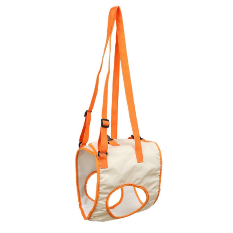 Pet Leash Assistive Belt For Postoperative Disabled Elderly Dogs