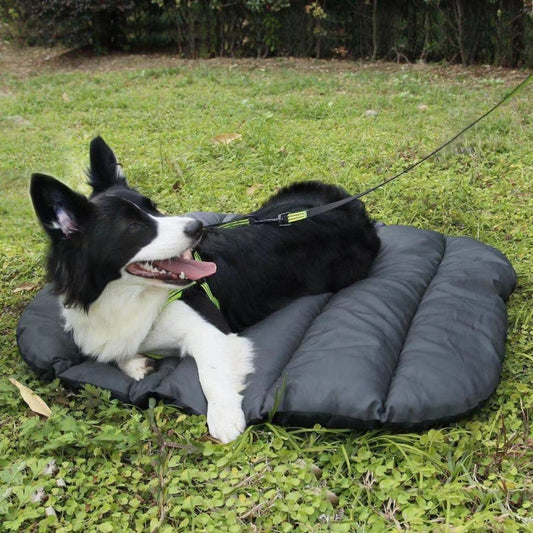 Pet Outdoor Waterproof Cushion Camping Cats And Dog Sleeping Pad, Size: