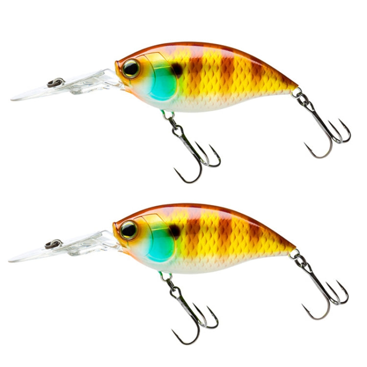 2pcs Inner Laser Deep Dive Sea Fishing Rock Fat Fake Bait Plastic Stiff Bait, 2pcs CB034/C, 2pcs CB033/A, 2pcs CB034/D, 2pcs CB033/B, 2pcs CB034/E, 2pcs CB033/C, 2pcs CB034/F, 2pcs CB033/D, 2pcs CB033/E, 2pcs CB033/F, 2pcs CB033/G, 2pcs CB033/H        ...