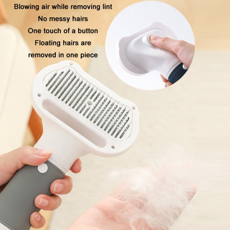 3 in 1 600W Pet Electric High Wind Hair Removal Blowing Combs, Specification: