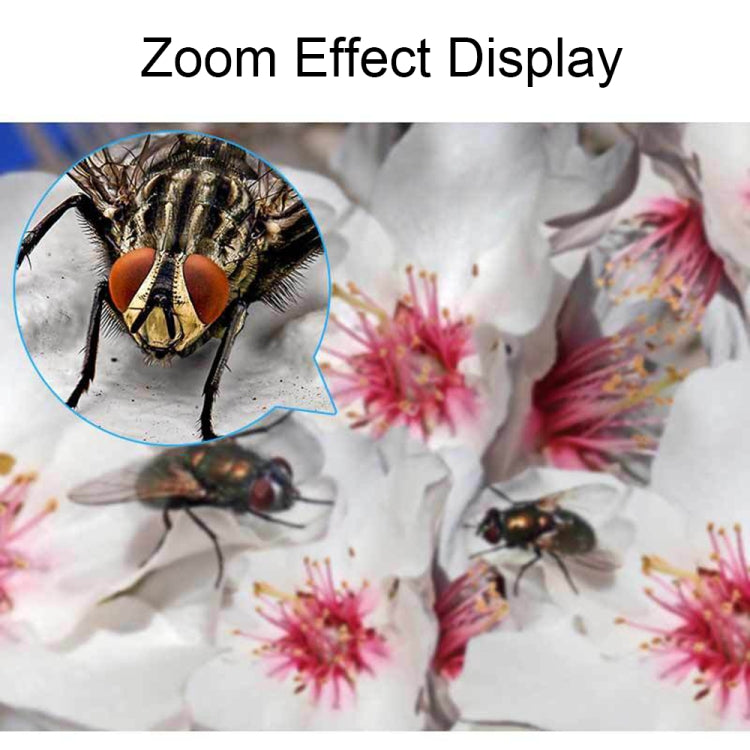 9882(RD) 60X Mini HD Banknote Detection Optical Microscope with LED Light, Color: