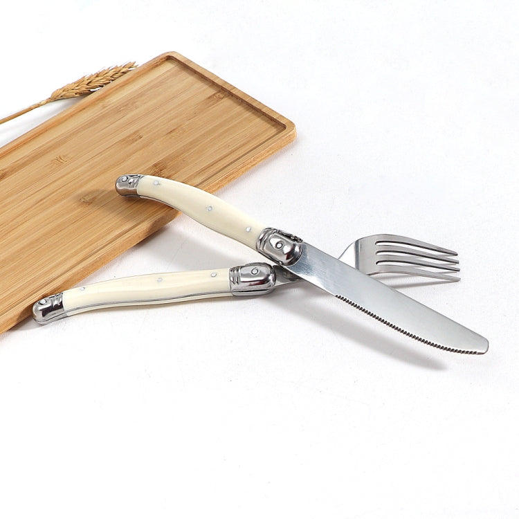 Stainless Steel Knife Fork Spoon Set Plastic Handle Western Tableware