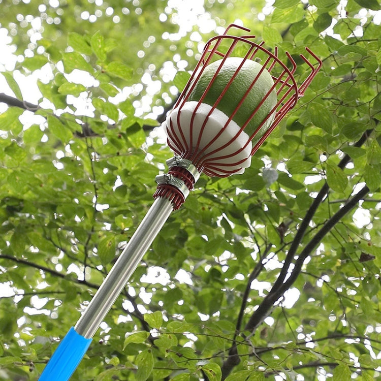 Stainless Steel Aerial Fruit Picker Fruit Picking Tools