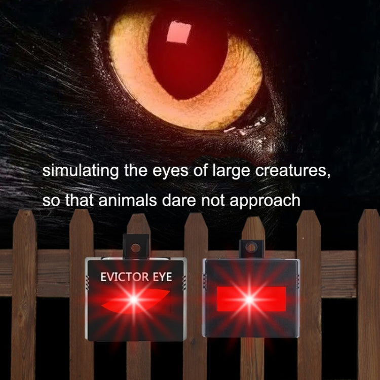 Solar Farm Wild Eagle Eye Animal Repeller