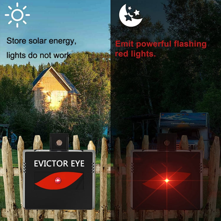 Solar Farm Wild Eagle Eye Animal Repeller