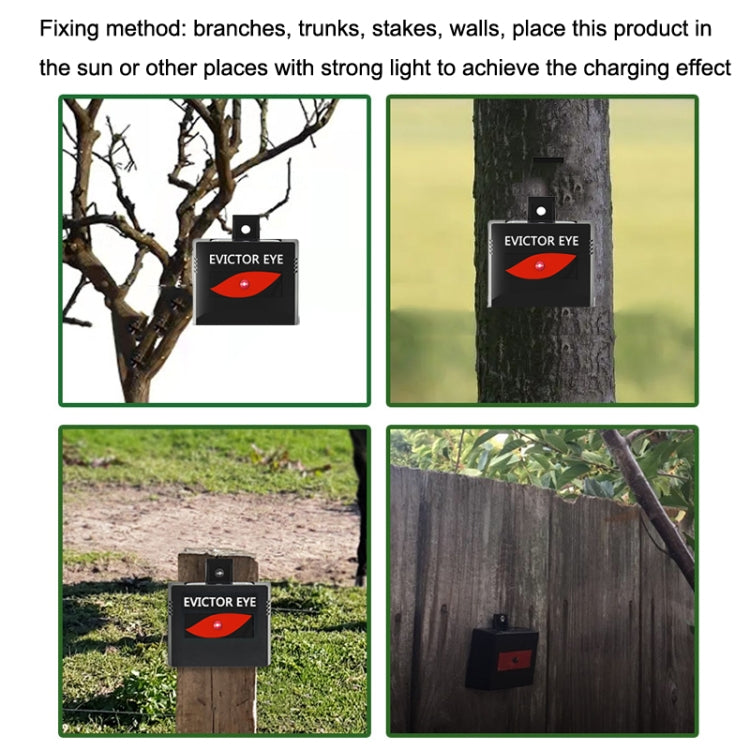 Solar Farm Wild Eagle Eye Animal Repeller