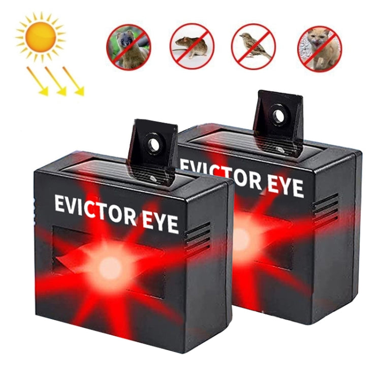 Solar Farm Wild Eagle Eye Animal Repeller