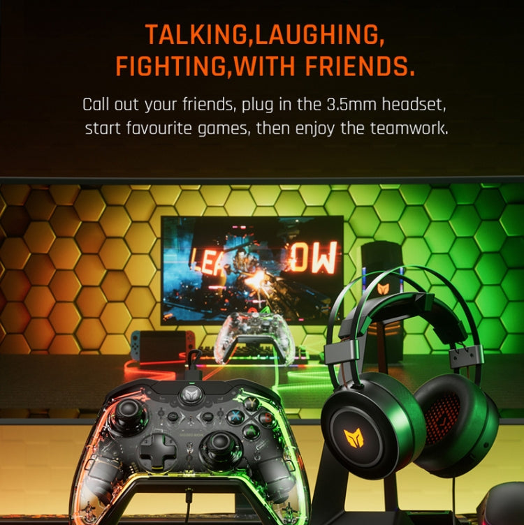 RGB Light Wired Gamepad Controller For PC/Switch