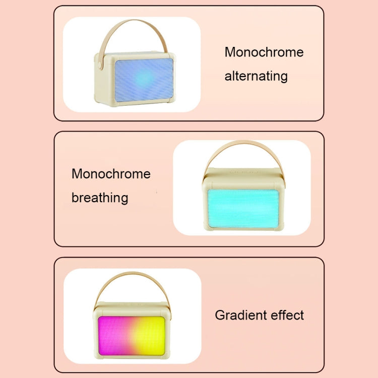 Portable RGB Lighting Effect Bluetooth Speaker Home Mini Karaoke Audio