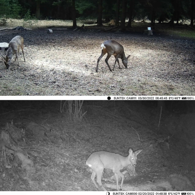 Suntek WiFi830 APP+WiFi 24MP Infrared Tracking Camera Wireless Bluetooth Control