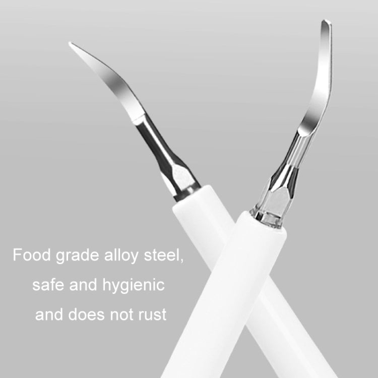 Electric Dental Scaler Accessories Replacement Head