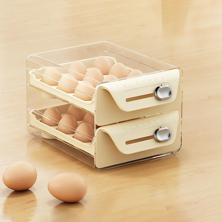 Egg Storage Box PET Transparent Multi-Specification Egg Box