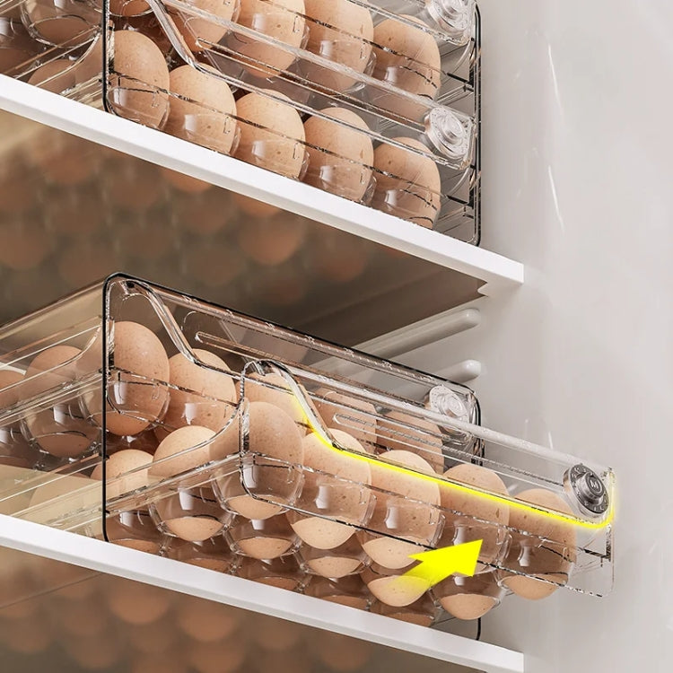 Egg Storage Box PET Transparent Multi-Specification Egg Box