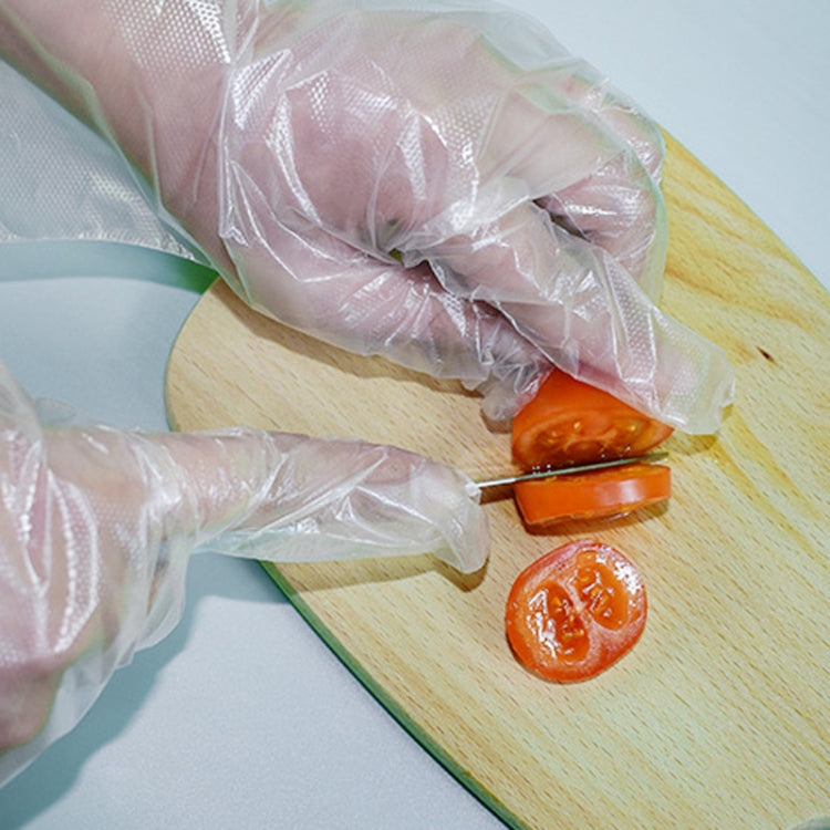 Disposable Gloves Transparent Food Catering Protective Glove