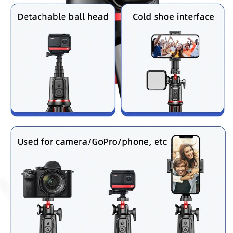 Octopus Tripod Mobile Phone Camera Portable Handheld Photo Bracket