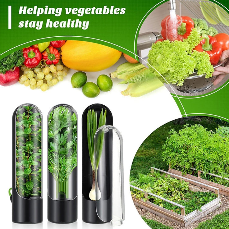 Herb Crisper Vegetable Keep Fresh Container Cilantro Herb Storage Container