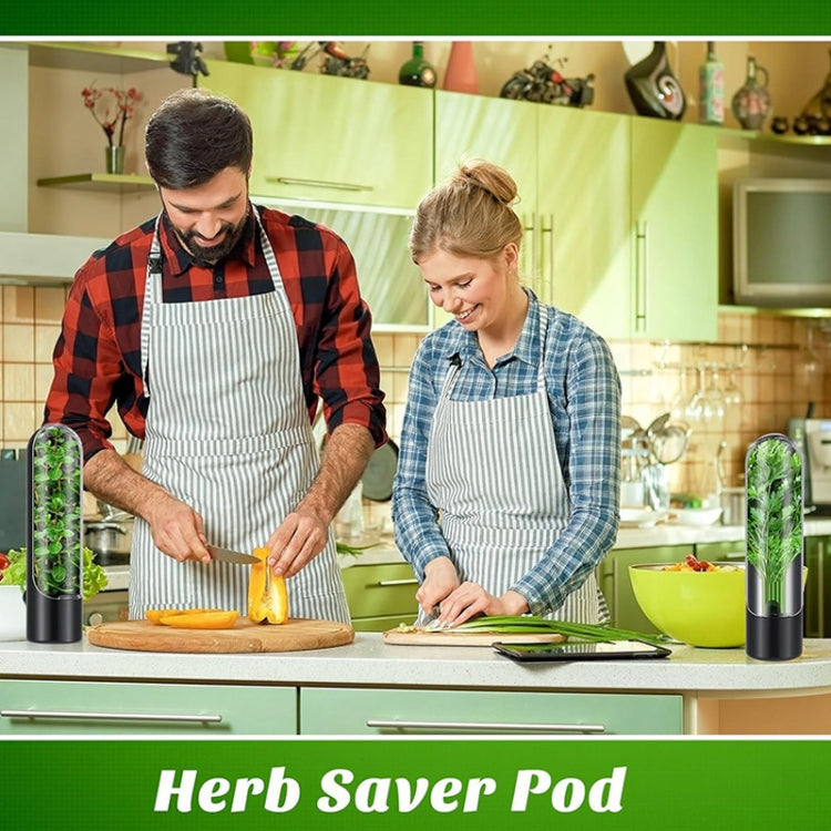 Herb Crisper Vegetable Keep Fresh Container Cilantro Herb Storage Container