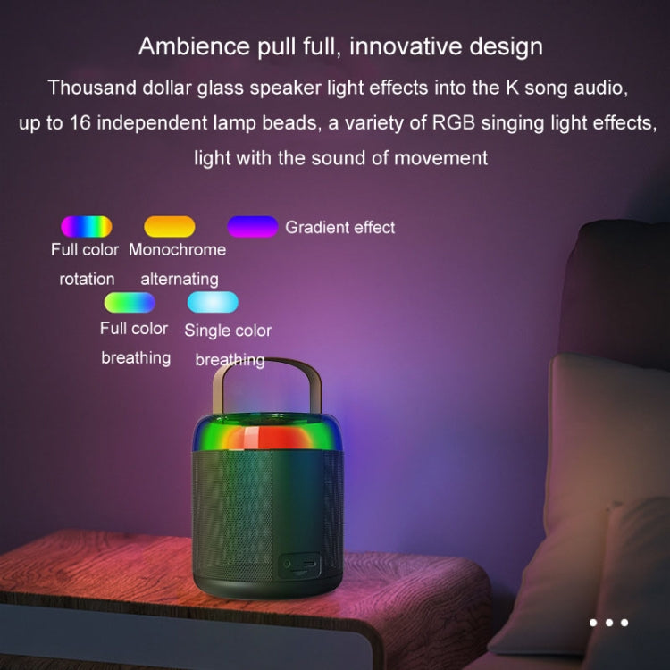 Home Portable Bluetooth Speaker Small Outdoor Karaoke Audio