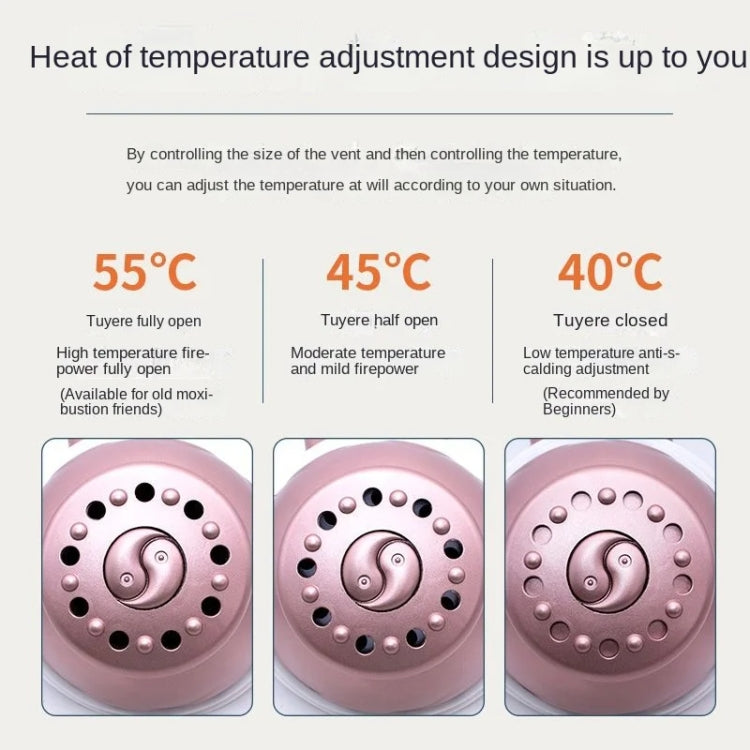 Portable Moxibustion Box Waist Abdomen Moxibustion Equipment