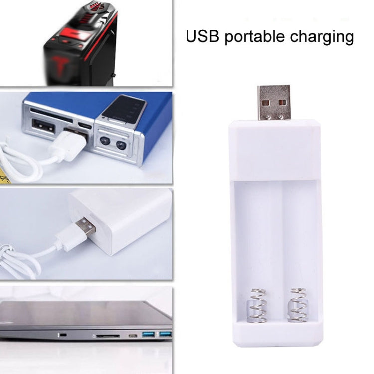 Directly Inserted 2 Slots USB AA / AAA Rechargeable Battery Charger