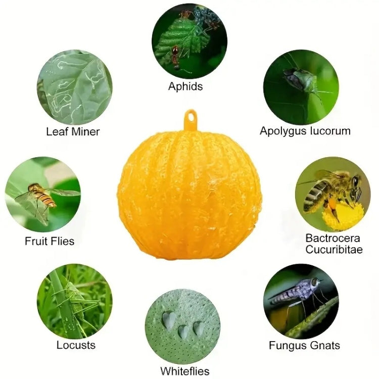 Outdoor Fruit Fly Mosquito Citrus Trap Sticky Ball