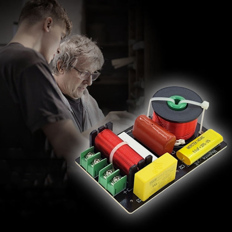 Magenta-2 High And Low 2-Way Audio Crossover Bookshelf Speaker Conversion Divider