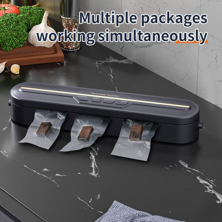 Food Vacuum Sealer Machine 60KPA Strong Suction, Small / Large Bag Modes With 10 Vacuum Bags