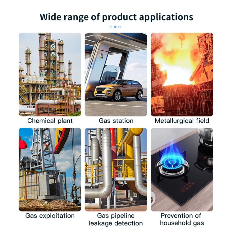 Portable Flammable Gas Methane Leak Detector Alarm