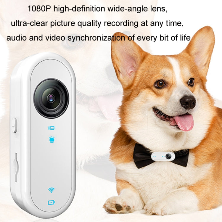 HD Outdoor Portable Pet Recorder Cycling Sports Camera