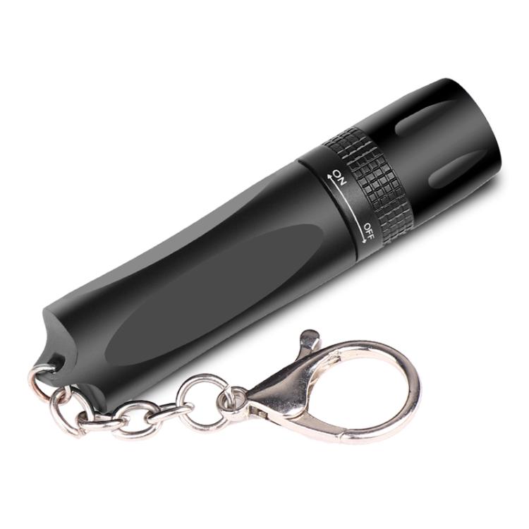 Small LED Portable Flashlight With Keychain