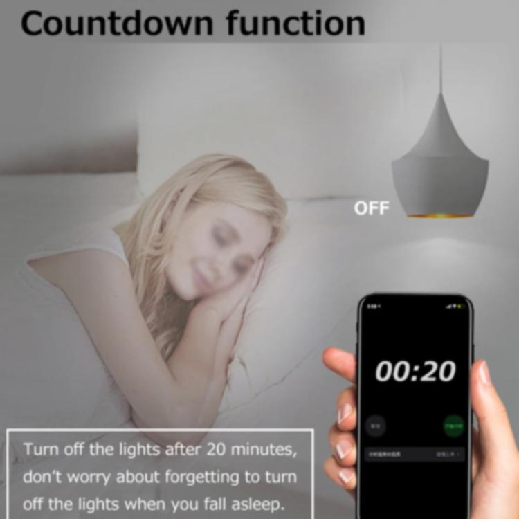 Smart Switch DIY Breaker 2 Way Control Voice Control