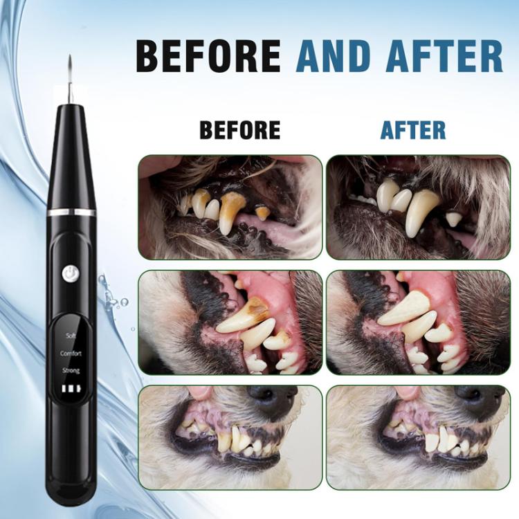 Pet Ultrasonic Teeth Cleaner Dog Tooth Brushing Kit Plaque Tartar Remover Dental Care Tool