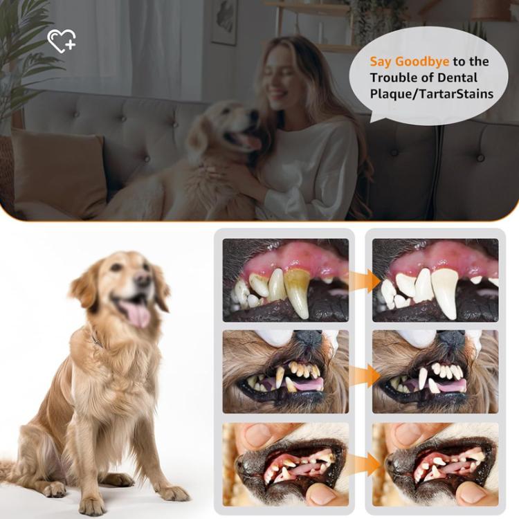 Pet Ultrasonic Teeth Cleaner Dog Tooth Brushing Kit Plaque Tartar Remover Dental Care Tool