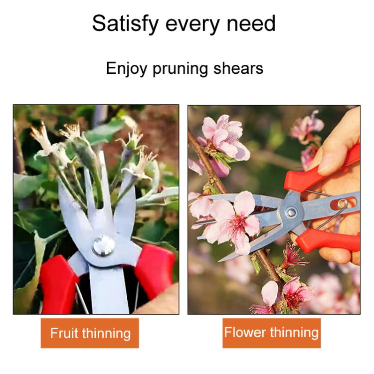 Agricultural Fruit And Flower Thinning Scissors Home Gardening Pruning Tools