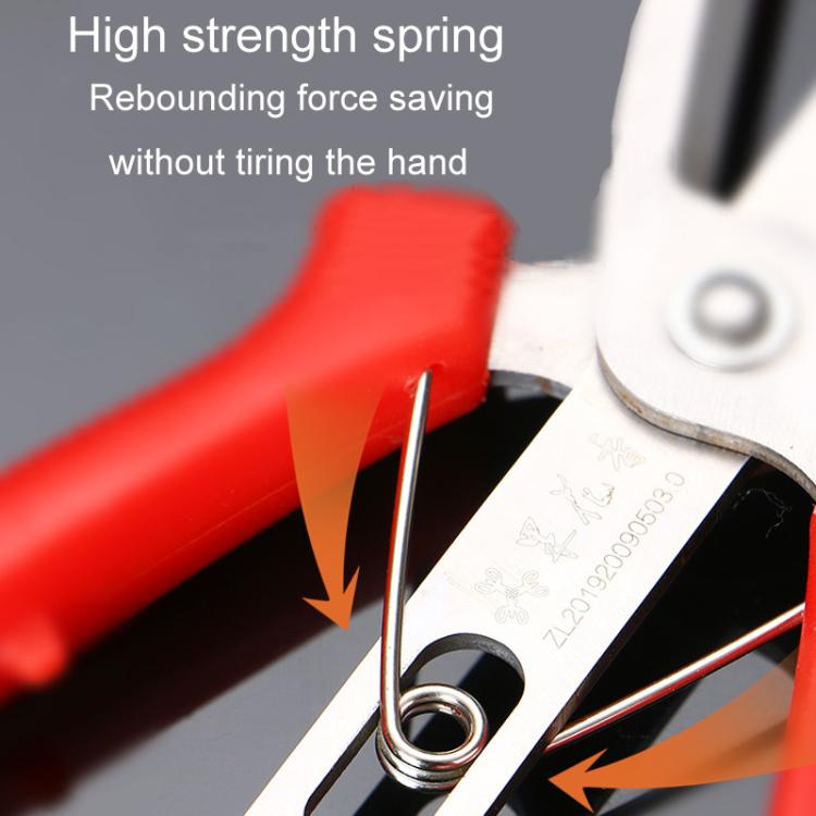 Agricultural Fruit And Flower Thinning Scissors Home Gardening Pruning Tools