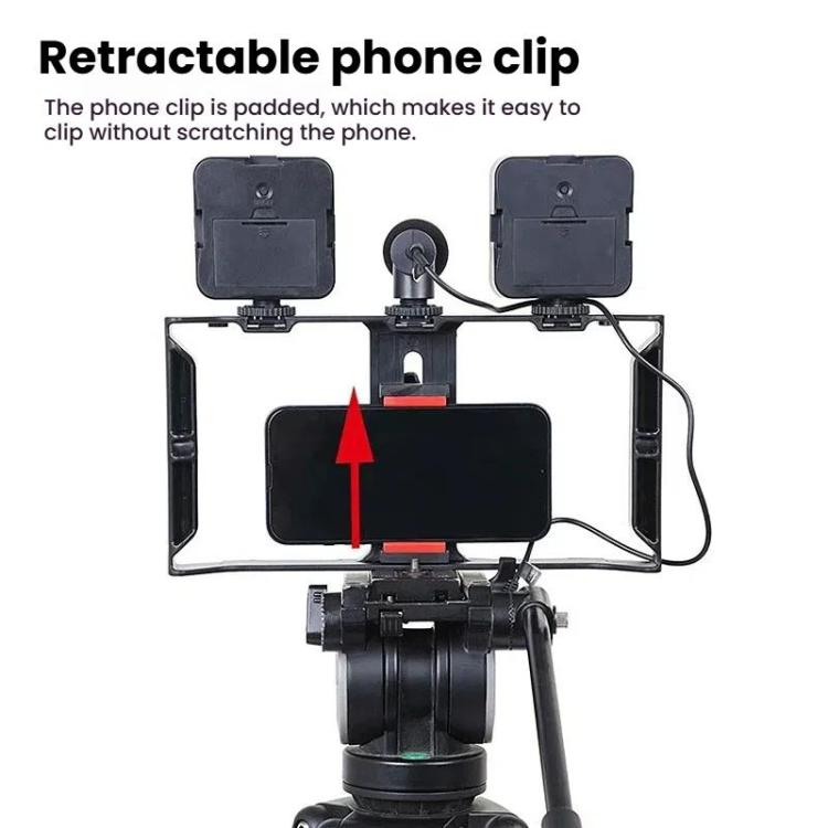Smartphone Video Rig Kit with LED Fill Light & Microphone All-in-One Mobile Live Streaming