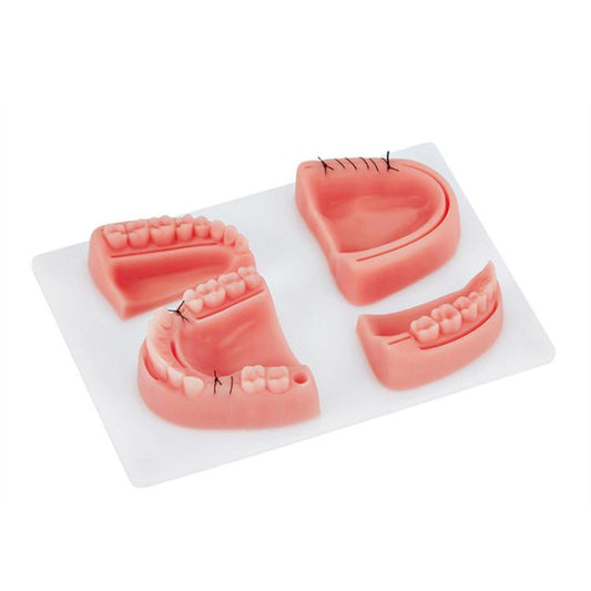 Gums Multiple Wounds Silicone Suture Practice Mold Four Teeth Oral Surgery Training Module For Medical Students