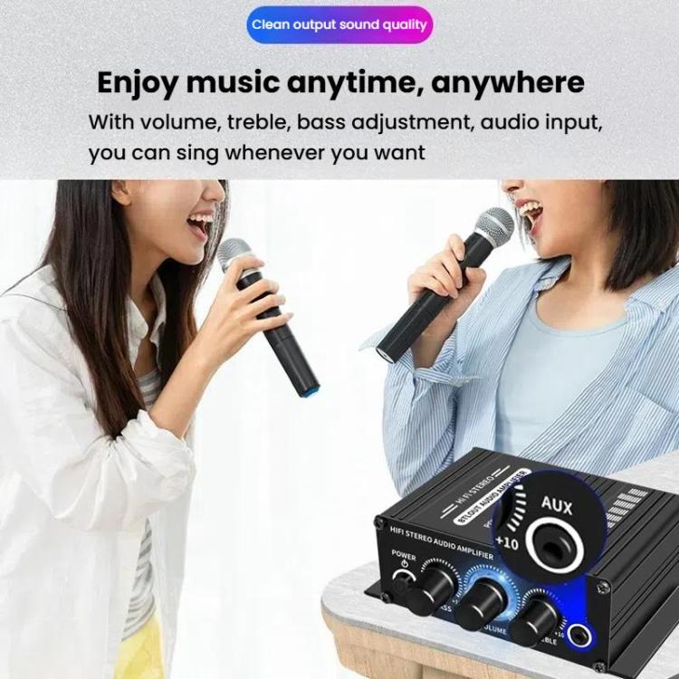 Car Home Stereo Mini Amplifier