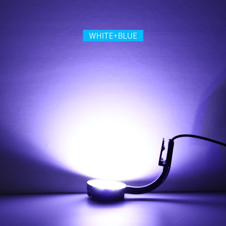 5W Blue White Aquarium LED Clip Light with 12 LEDs USB Powered Mini Fish Tank Light for Aquatic Plants, Water Grass & Small Tanks