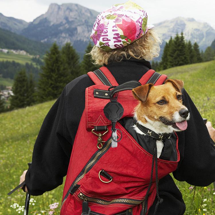 Hangable Climbing Buckle Retractable Anti-Loss Outdoor Climbing Pull Buckle