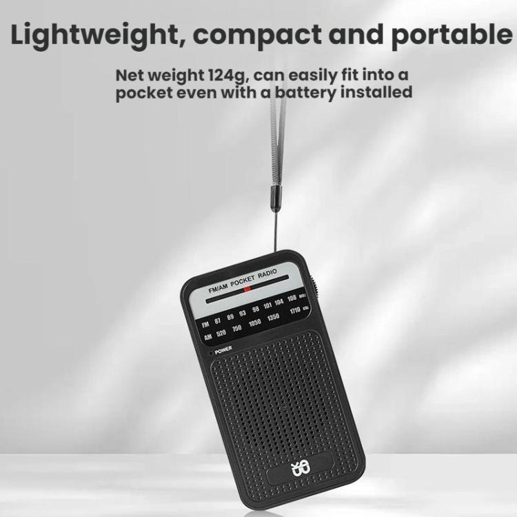 Portable Pointer AM/FM Full Channel Radio
