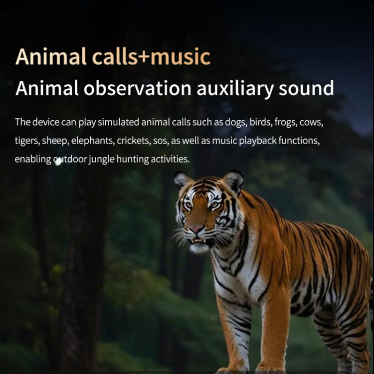 Telescope Memory Card