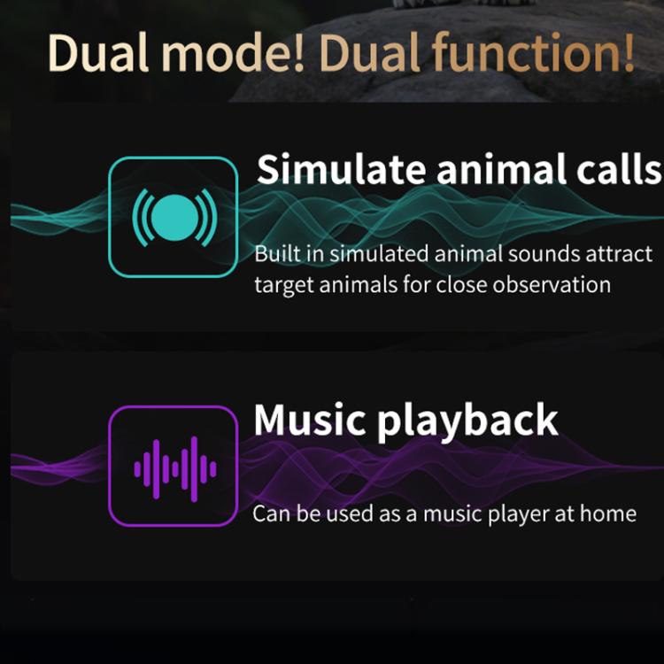 Telescope Memory Card